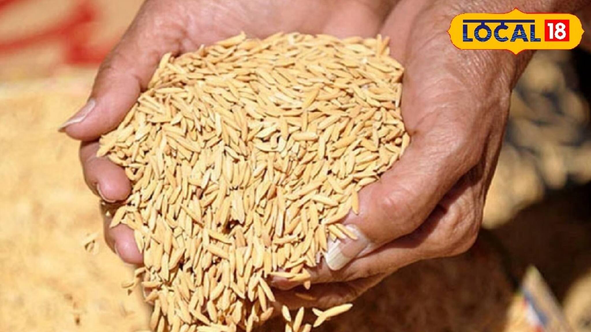 সরকারি সহায়ক মূল্যে ধান বিক্রি করছেন? এই ভুল করলে ধান ফিরিয়ে দেবে আধিকারিকরা! 