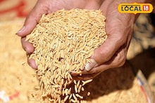 Paddy Sell: সরকারি সহায়ক মূল্যে ধান বিক্রির সময় বজায় রাখতে হবে নির্দিষ্ট গুণগত মান, না থাকলে নেবে না সরকার