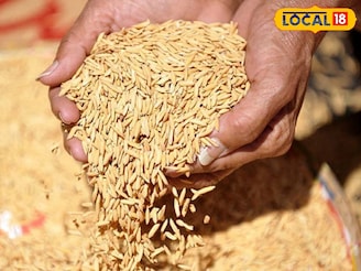 সরকারি সহায়ক মূল্যে ধান বিক্রি করছেন? এই ভুল করলে ধান ফিরিয়ে দেবে আধিকারিকরা! 