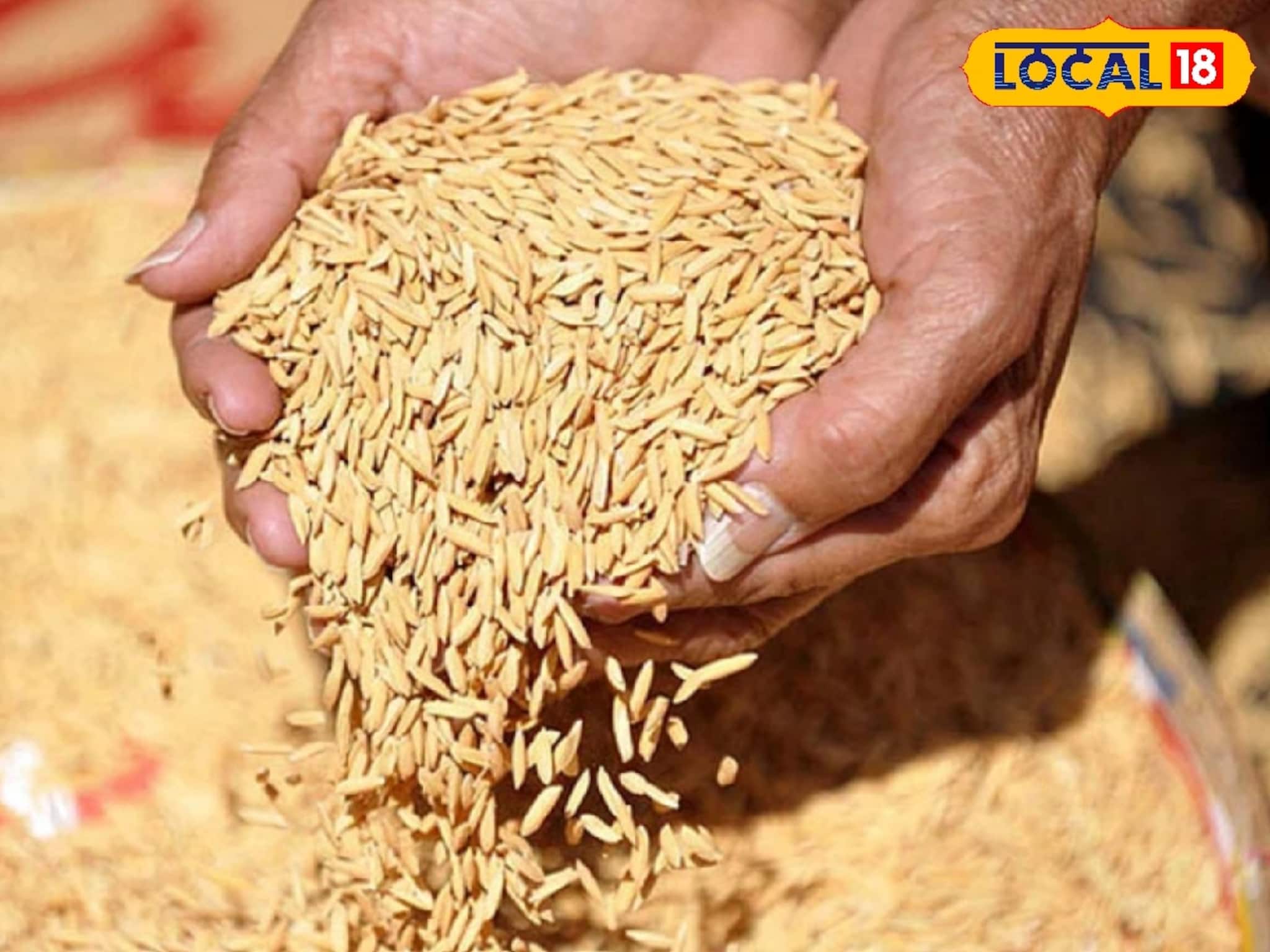 সরকারি সহায়ক মূল্যে ধান বিক্রি করছেন? এই ভুল করলে ধান ফিরিয়ে দেবে আধিকারিকরা! 