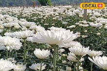 রাজ্যের একমাত্র ফুল রাখার হিমঘর সংস্কারের অভাবে অকেজো, চাষিদের চিন্তায় ঘুম নেই