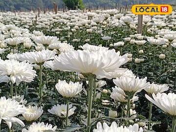 পাঁশকুড়ার