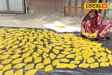 Small Business idea: ১০ টাকায় এক ডজন! মুর্শিদাবাদের মহিলাদের তাক লাগানো ছোট্ট বিজনেস আইডিয়া, অঢেল আয়ের মূলে বিশেষ পাঁপড়