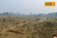 দূষণ রুখতে 'গাছ পাঁচিল', নয়া উদ্যোগ রাজ্য দূষণ নিয়ন্ত্রণ পর্ষদের