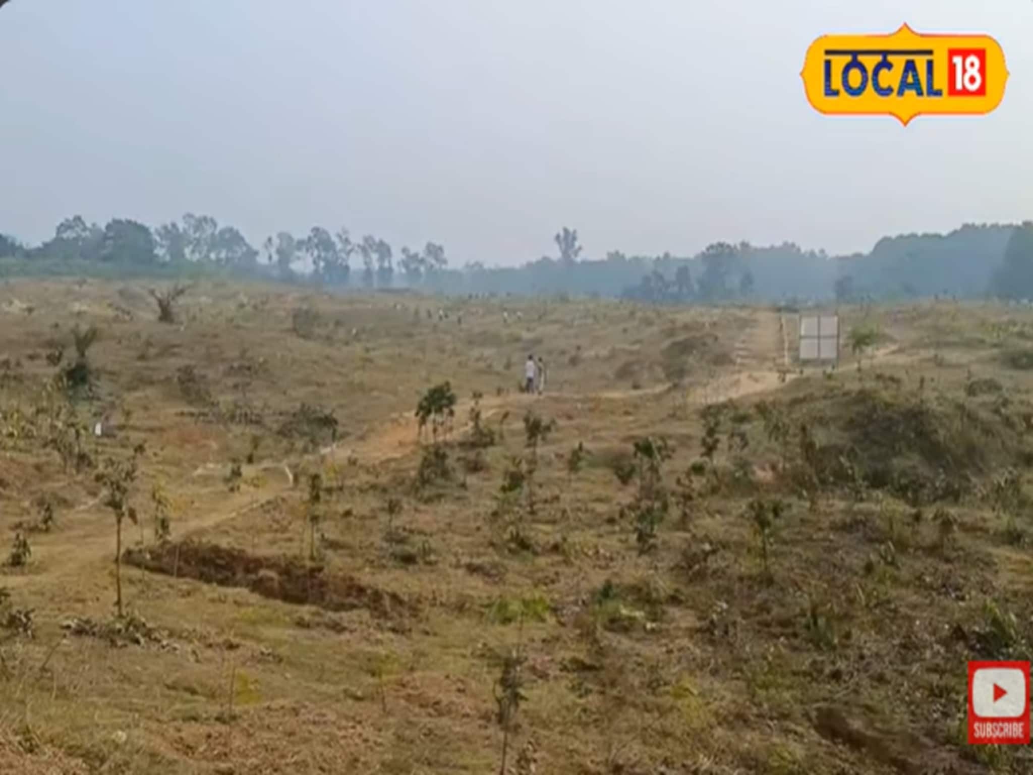 দূষণ রুখতে 'গাছ পাঁচিল', নয়া উদ্যোগ রাজ্য দূষণ নিয়ন্ত্রণ পর্ষদের