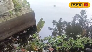 পুকুর পুকুর