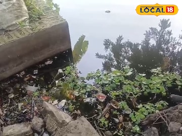 পুকুর পুকুর