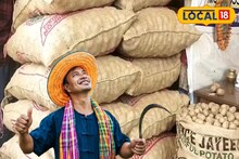 Potato Seeds Price: আলু চাষিদের জন্য দারুণ খবর, কমে গেল আলু বীজের দাম! শুনলে এখুনি ছুটে যাবেন কিনতে