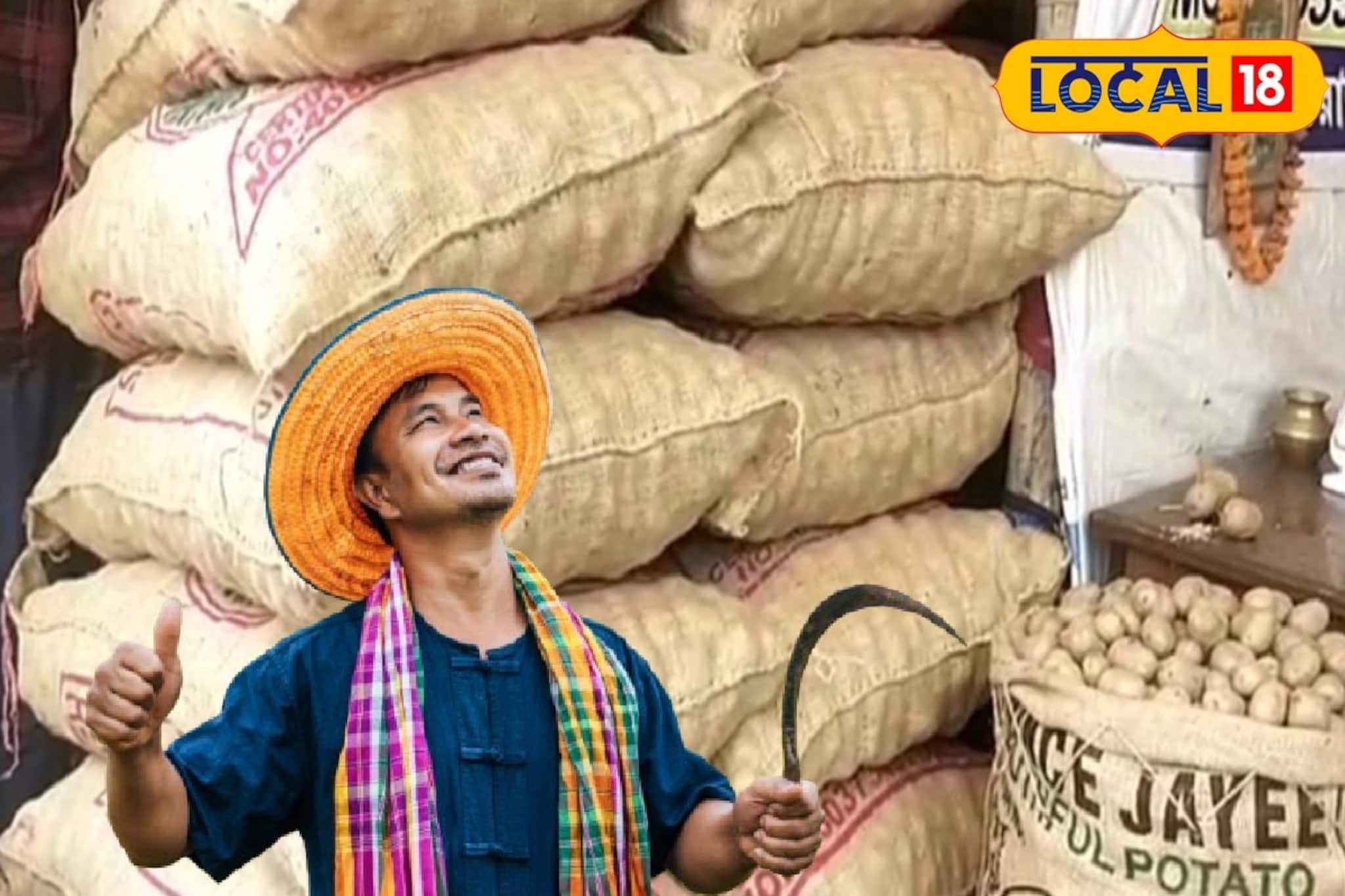 আলু চাষিদের জন্য দারুণ খবর, কমে গেল আলু বীজের দাম! শুনলে এখুনি ছুটে যাবেন কিনতে