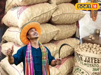 আলু চাষিদের জন্য দারুণ খবর, কমে গেল আলু বীজের দাম! শুনলে এখুনি ছুটে যাবেন কিনতে