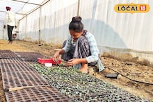 আলু চাষে যুগান্তকারী পদক্ষেপ মালদহের চাষির! নিজেই তৈরি করলেন ২৬ প্রজাতির বীজ