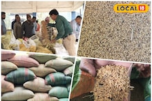 Agriculture News: রেকর্ড ধান উৎপাদন পুরুলিয়ায়, খুশিতে ডগমগ কৃষকরা! 'টার্গেট' পূরণ হবে, আশায় কৃষি দফতর