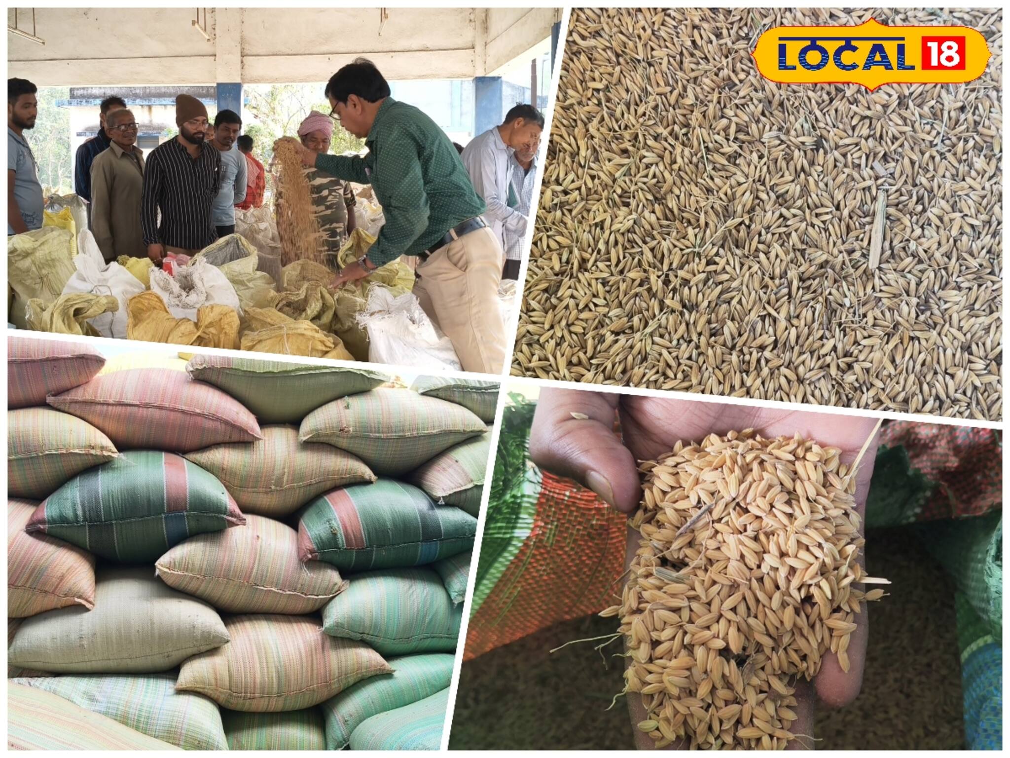 Agriculture News: রেকর্ড ধান উৎপাদন পুরুলিয়ায়, খুশিতে ডগমগ কৃষকরা! 'টার্গেট' পূরণ হবে, আশায় কৃষি দফতর