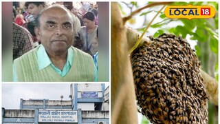 পথের ধারে মৌচাক পথের ধারে মৌচাক