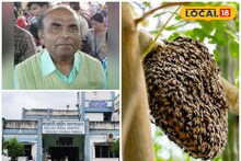 মর্নিং ওয়াকের সময় ঘিরে ধরল মৌমাছির দল, আয়কর বিভাগের প্রাক্তন কর্মচারী করুণ পরিণতি