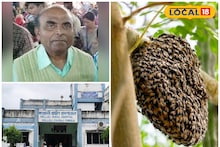 আয়কর বিভাগের প্রাক্তন কর্মচারী বেরিয়েছিলেন হাঁটতে, পথে ঘিরে ধরল একদল মৌমাছি! তারপর মর্মান্তিক পরিণতি