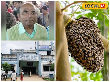 পথের ধারে মৌচাক