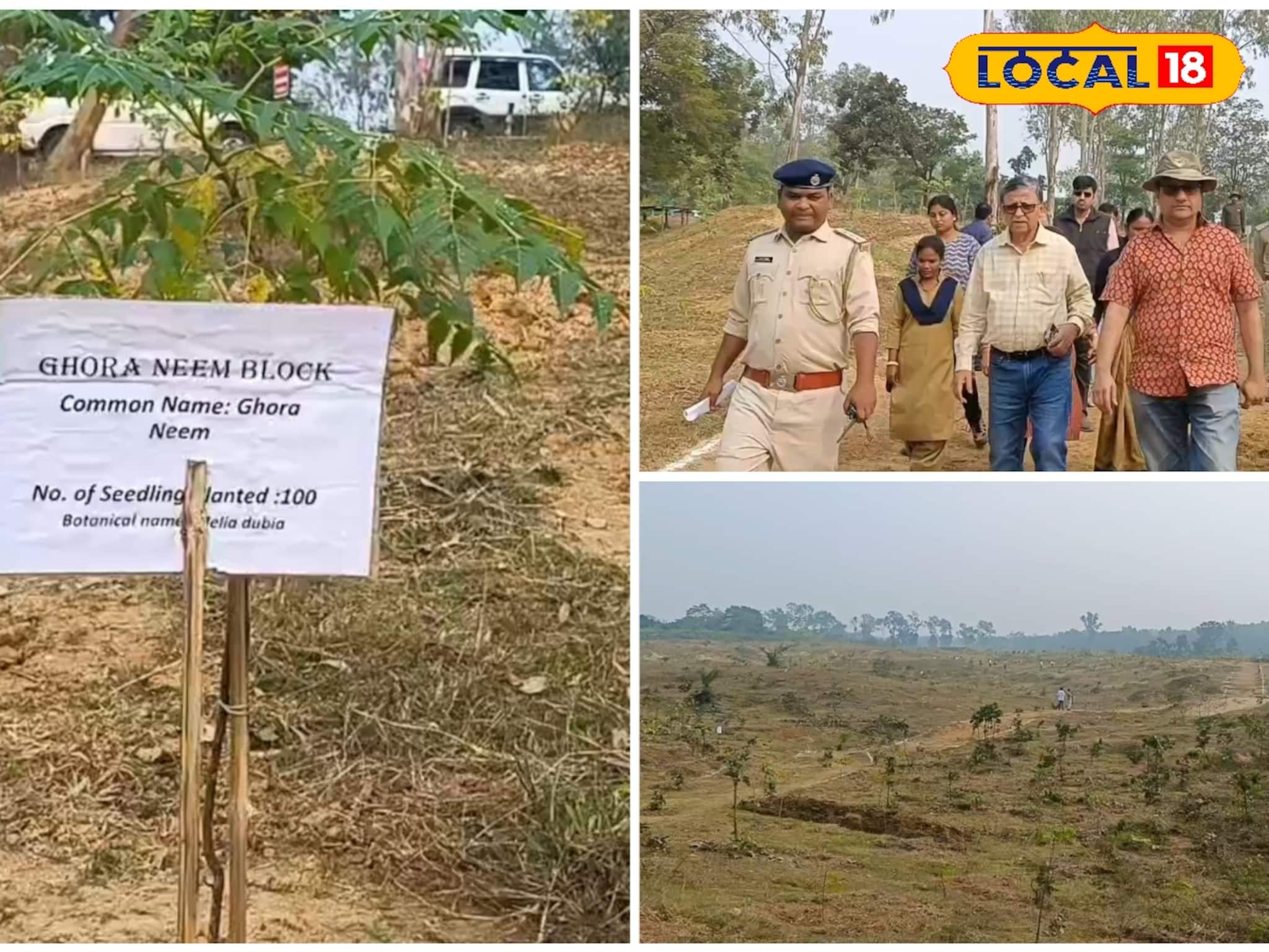 Purulia News: এবার সবুজের 'গ্রেট ওয়াল' দেখতে পাবেন পুরুলিয়ায়, দূষণ পালানোর পথ পাবে না! সীমান্তে তৈরি হচ্ছে 'গাছ পাঁচিল'