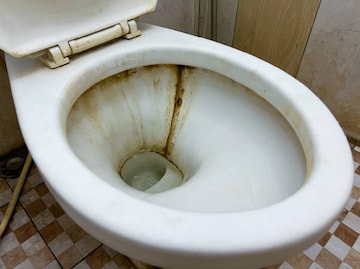 গাদাগাদা খরচ করে ক্লিনার নয়,কমোডের নোংরা দাগছোপ দূর হবে বাড়িতে থাকা ৩ টে জিনিসেই গাদাগাদা খরচ করে ক্লিনার নয়,কমোডের নোংরা দাগছোপ দূর হবে বাড়িতে থাকা ৩ টে জিনিসেই