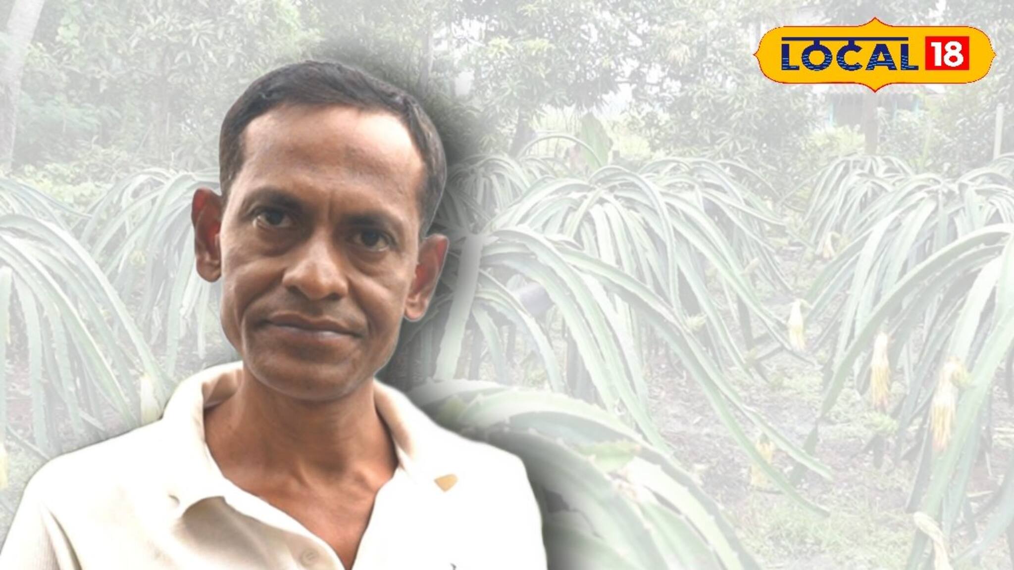 লাভজনক চাষে মেদিনীপুরে রোল মডেল অবসরপ্রাপ্ত সেনাকর্মী! করছেন ড্রাগন ফলের চাষ