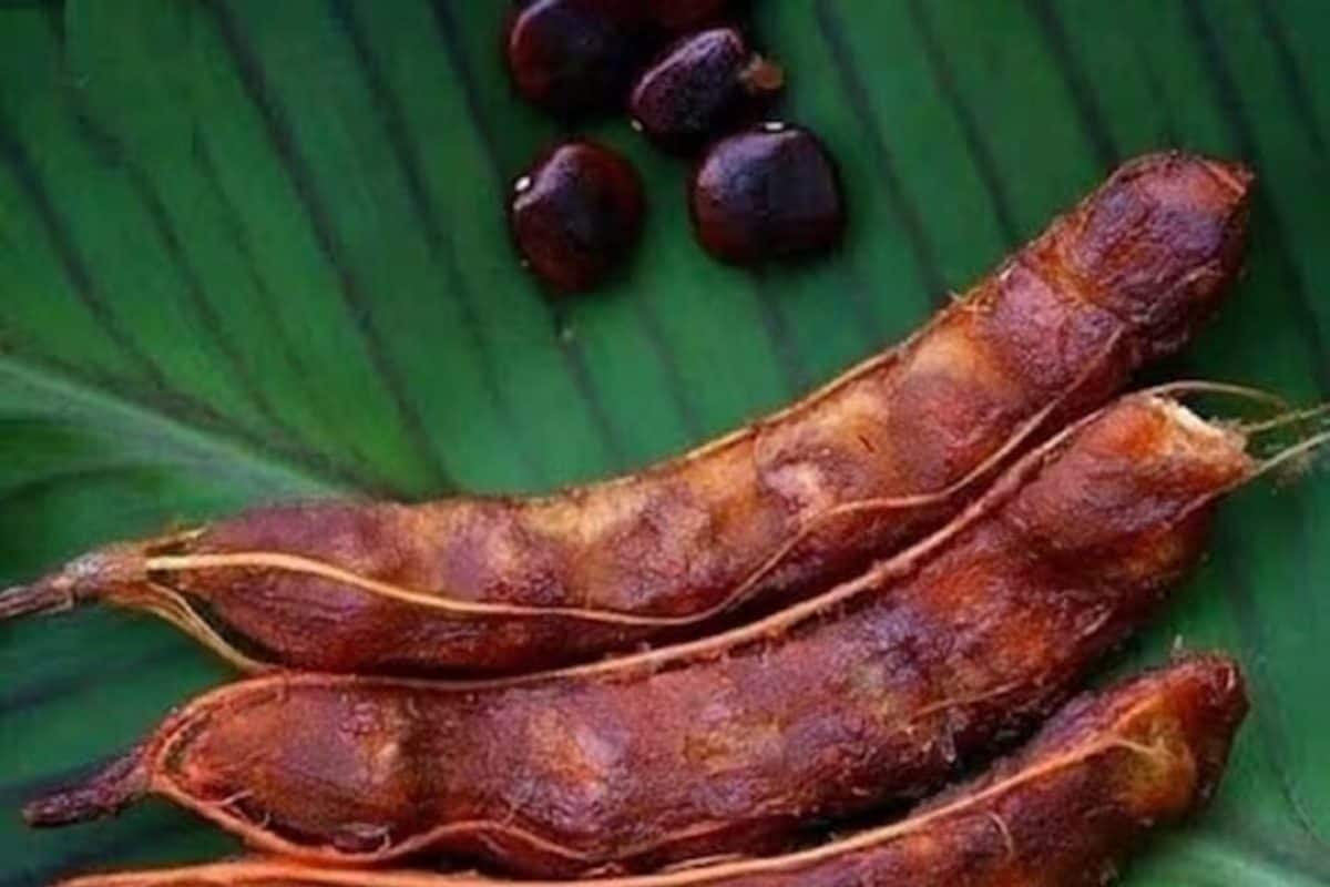 তেঁতুল মোটেই পছন্দ না? একটু খেলেই সুগার আর কোলেস্টেরলে কী হয়, জানলে আজই কিনে আনবেন!