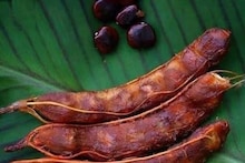 Tatul Health Benefit: তেঁতুল মোটেই পছন্দ না? একটু খেলেই সুগার আর কোলেস্টেরলে কী হয়, জানলে আজই কিনে আনবেন! রইল বিশেষজ্ঞের মত