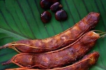 তেঁতুল মোটেই পছন্দ না? একটু খেলেই সুগার আর কোলেস্টেরলে কী হয়, জানলে আজই কিনে আনবেন!