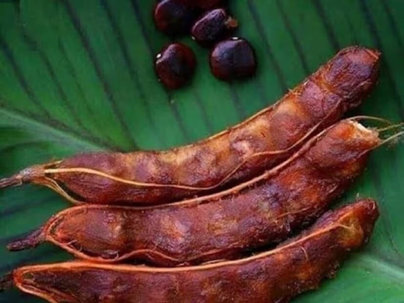 কলকাতা: হৃদরোগে যারা ভুগছেন কিংবা রক্তে শর্করা নিয়ে চিন্তায় রয়েছেন, কোলেস্টেরল নিয়ে যারা দীর্ঘদিন ধরে দুশ্চিন্তায় ভুগছেন, গবেষকরা বলছেন, তাদের জন্য পাকা তেঁতুল খুবই উপকারী।