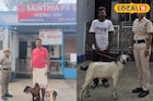 বীরভূমে ছাগল উদ্ধার করে পুলিশের নয়া কীর্তি, সাঁইথিয়ার কাণ্ডে হাসছে গোটা জেলা
