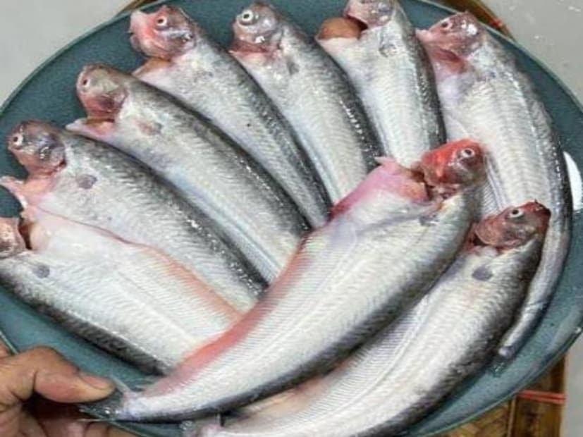 যাঁরা অস্টিয়োপোরেসিসের মতো সমস্যায় ভুগছেন, তাঁদের ক্ষেত্রেও কাজে লাগতে পারে এই মাছ।