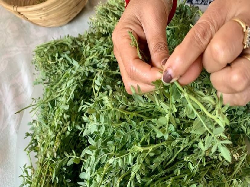 শাকের কথা উঠলে কেউ ভালবাসেন পালং-কলমির মতো শাক, কেউ ভালবাসেন বাথুয়া। কিন্তু এই সবের ভিড়ে একটি শাক নজর এড়িয়ে যায় অনেকেরই যা স্বাস্থ্যের জন্য মহার্ঘ্য সমান।