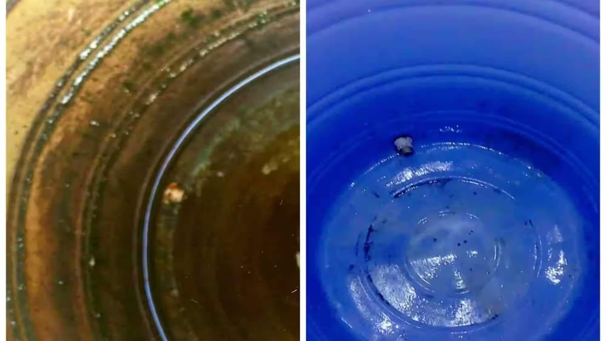 ১ মিনিটেই ঝাঁ চকচকে জলের ট্যাঙ্ক...! প্লাম্বার ভুলে যান, ঘরোয়া কাজেই ম্যাজিক-ক্লিনিং! কায়দা জানুন স্টেপ বাই স্টেপ!