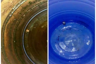 ১ মিনিটেই ঝাঁ চকচকে জলের ট্যাঙ্ক! প্লাম্বার ভুলে যান, ঘরোয়া 'ছোট্ট' কাজেই ম্যাজিক-ক্লিনিং