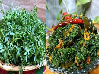 পালং, সর্ষে ছাড়ুন..! শীতকালে খান সস্তার 'ছোলা শাক'! সুগার, কোলেস্টেরলে ব্রক্ষ্মাস্ত্র-সমান