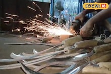 কোণঠাসা কাস্তে, ভবিষ্যৎ অন্ধকারে! মেশিনের চাহিদা বাড়তেই আর ঘুরে তাকাচ্ছেন না চাষিরা