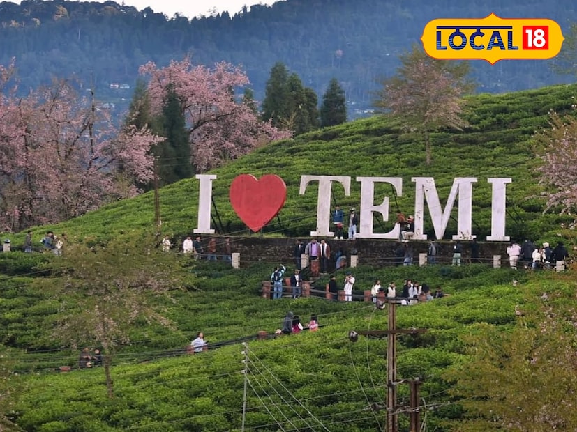 দক্ষিণ সিকিমের টেমি চা বাগান আবারও সাজছে রঙিন চেরি ফুলে। আগামী ৯ নভেম্বর থেকে শুরু হতে চলেছে বহু প্রতীক্ষিত ‘টেমি চেরি ব্লসম’ উৎসব। বৃহস্পতিবার আয়োজকদের তরফে সাংবাদিক বৈঠকে এই মরশুমের আনুষ্ঠানিক সূচনা ঘোষণা করা হয়। প্রতি বছরই চা বাগানের গায়ে গোলাপি-সাদা ফুলের মেলা দেখতে ভিড় জমান হাজার হাজার দেশি–বিদেশি পর্যটক। এবছর উৎসবের সঙ্গে যুক্ত হচ্ছে একাধিক নতুন আকর্ষণ, যা সিকিমের পর্যটন মানচিত্রে নতুন দিগন্ত খুলে দেবে বলে আশা করছেন উদ্যোক্তারা। (ছবি ও তথ্য: ঋত্বিক ভট্টাচার্য) দক্ষিণ সিকিমের টেমি চা বাগান আবারও সাজছে রঙিন চেরি ফুলে। আগামী ৯ নভেম্বর থেকে শুরু হতে চলেছে বহু প্রতীক্ষিত ‘টেমি চেরি ব্লসম’ উৎসব। বৃহস্পতিবার আয়োজকদের তরফে সাংবাদিক বৈঠকে এই মরশুমের আনুষ্ঠানিক সূচনা ঘোষণা করা হয়। প্রতি বছরই চা বাগানের গায়ে গোলাপি-সাদা ফুলের মেলা দেখতে ভিড় জমান হাজার হাজার দেশি–বিদেশি পর্যটক। এবছর উৎসবের সঙ্গে যুক্ত হচ্ছে একাধিক নতুন আকর্ষণ, যা সিকিমের পর্যটন মানচিত্রে নতুন দিগন্ত খুলে দেবে বলে আশা করছেন উদ্যোক্তারা। (ছবি ও তথ্য: ঋত্বিক ভট্টাচার্য)