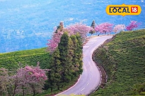 সিকিম ঘুরতে যাওয়ার আনন্দ বেড়ে যাবে কয়েকগুণ! উদ্বোধন হতে চলেছে ৩ পর্যটন গ্রামের