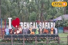 শীতে বেঙ্গল সাফারি ঘোরা হবে আরও প্রাণবন্ত, আনন্দ দেবে ২ নতুন অতিথি