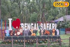 শীতে বেঙ্গল সাফারি ঘোরা হবে আরও প্রাণবন্ত, আনন্দ দেবে ২ নতুন অতিথি