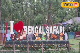 শীতে বেঙ্গল সাফারি ঘোরা হবে আরও প্রাণবন্ত, আনন্দ দেবে ২ নতুন অতিথি