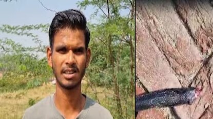 হারদোই জেলার পুষ্পতালি গ্রামে কৃষক পুণিতকে কালো গোখরো সাপ কামড়ালে তিনি রাগে সাপটিকে কামড়ে দেন. সাপটি মারা যায়, পুণিত অ্যান্টিভেনম নিয়ে সুস্থ হন। হারদোই জেলার পুষ্পতালি গ্রামে কৃষক পুণিতকে কালো গোখরো সাপ কামড়ালে তিনি রাগে সাপটিকে কামড়ে দেন. সাপটি মারা যায়, পুণিত অ্যান্টিভেনম নিয়ে সুস্থ হন।