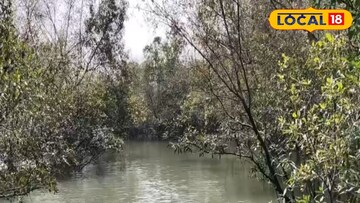 রোগাক্রান্ত