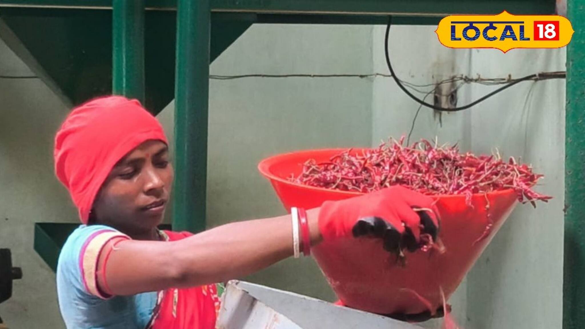 Organic Spices: বেশি রং মানেই খাঁটি এমনটা নয়! অর্গানিক মশলার রয়েছে বেশকিছু বিশেষত্ব, ২৫ বছর ধরে তৈরি হচ্ছে বাঁকুড়ায়