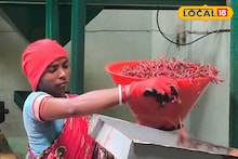 বেশি রং মানেই খাঁটি এমনটা নয়! অর্গানিক মশলার রয়েছে বেশকিছু বিশেষত্ব, তৈরি হচ্ছে বাঁকুড়ায়