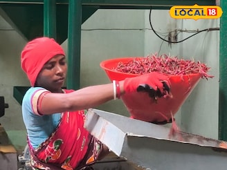 বেশি রং মানেই খাঁটি এমনটা নয়! অর্গানিক মশলার রয়েছে বেশকিছু বিশেষত্ব, তৈরি হচ্ছে বাঁকুড়ায়