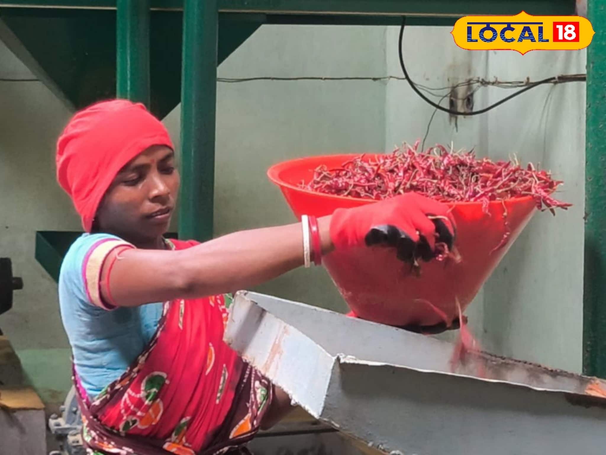 বেশি রং মানেই খাঁটি এমনটা নয়! অর্গানিক মশলার রয়েছে বেশকিছু বিশেষত্ব, তৈরি হচ্ছে বাঁকুড়ায়