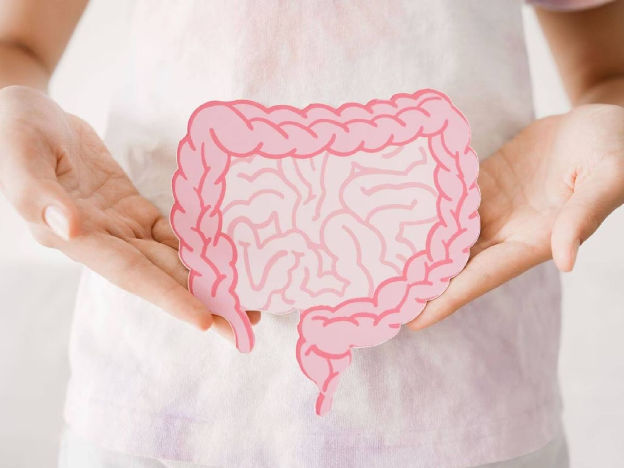 Gall Bladder Symptoms: পেটের উপরের অংশে ডান দিকে ব্যথা কিন্তু গলব্লাডারের উপসর্গ, আর যে যে লক্ষণ দেখলেই সতর্ক হবেন