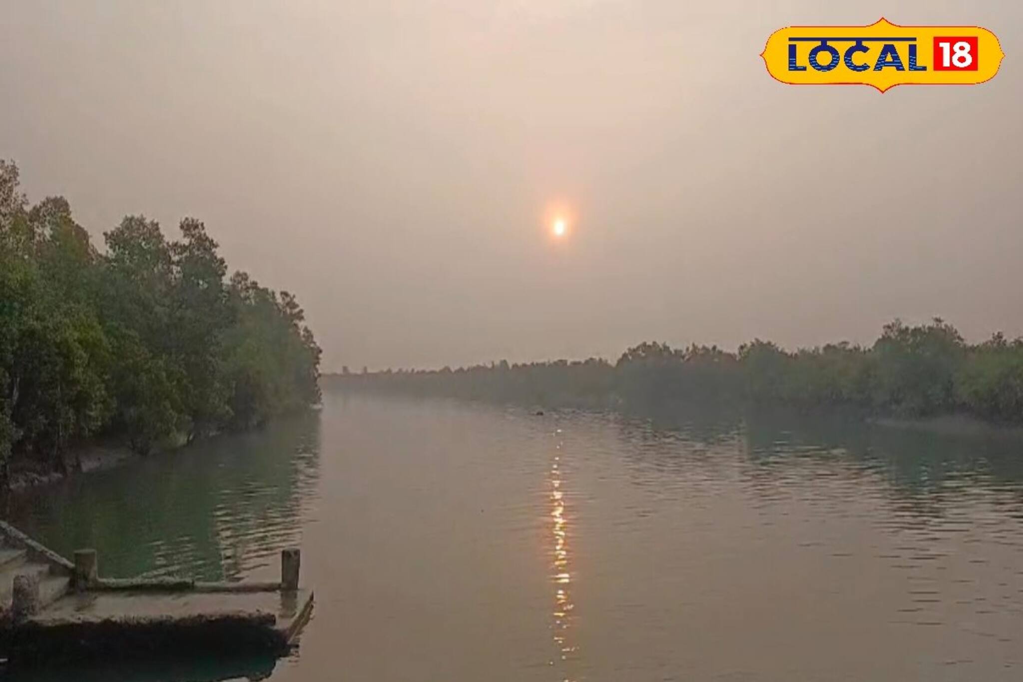 Sundarban Tourism: বন্ধ থাকবে বোট-লঞ্চ, ডিসেম্বর মাসে ২ দিন পুরোপুরি বন্ধ সুন্দরবন ভ্রমণ! কর্তৃপক্ষের নির্দেশে মন খারাপ ভ্রমণ পিপাসু বাঙালিদের