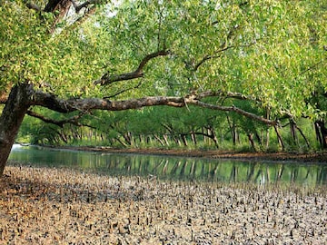 বিশ্বব্যাঙ্কের সাহায্যে ৪ হাজার ১০০ কোটি টাকার এই প্রকল্প তৈরি হবে