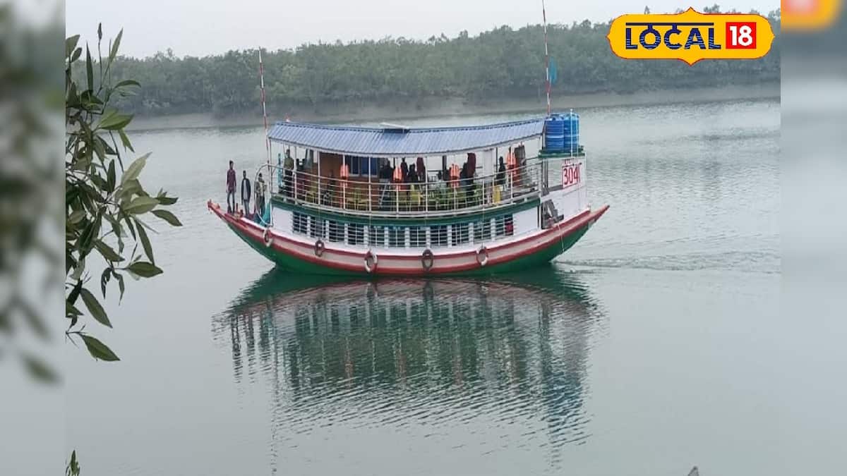 Sundarban Tourism: সামনেই শীতের মরশুম, সুন্দরবন ঘুরতে যাওয়ার প্ল্যান করছেন? জানতে হবে সেরা ঠিকানা, নাহলে জলে যাবে টাকা
